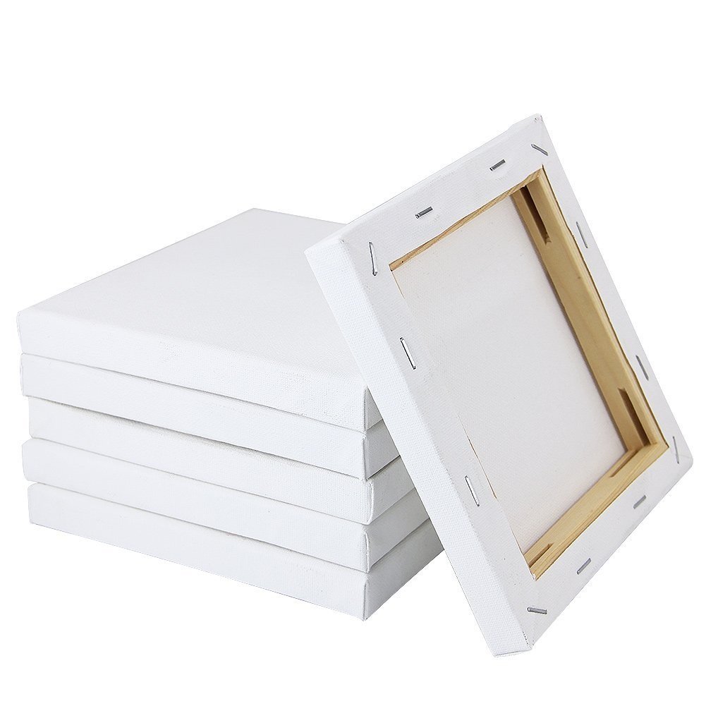Picture of Combo 5pcs Canvas for Painting