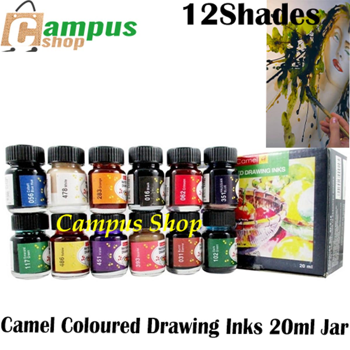 Picture of 12 Shades Camel Coloured Drawing Ink 20 ml Jar