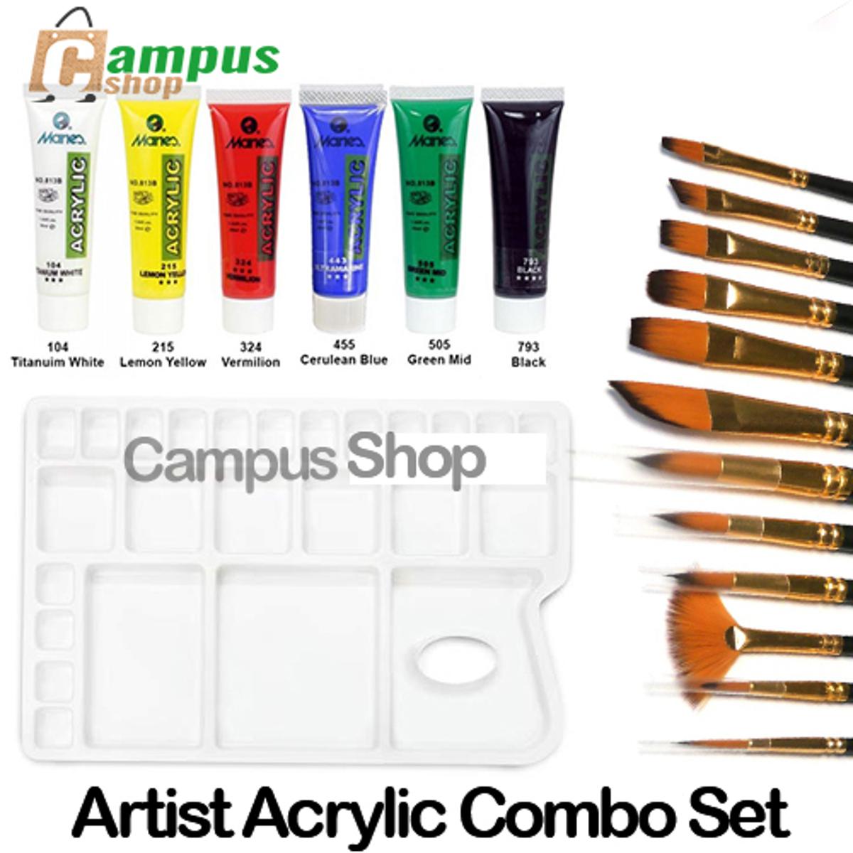 Picture of Combo Of Artist Acrylic Fine Art Painting-Maries Acrylic Color 30ml 6 Shades,Artist Palette,12pcs Mix Brush Set