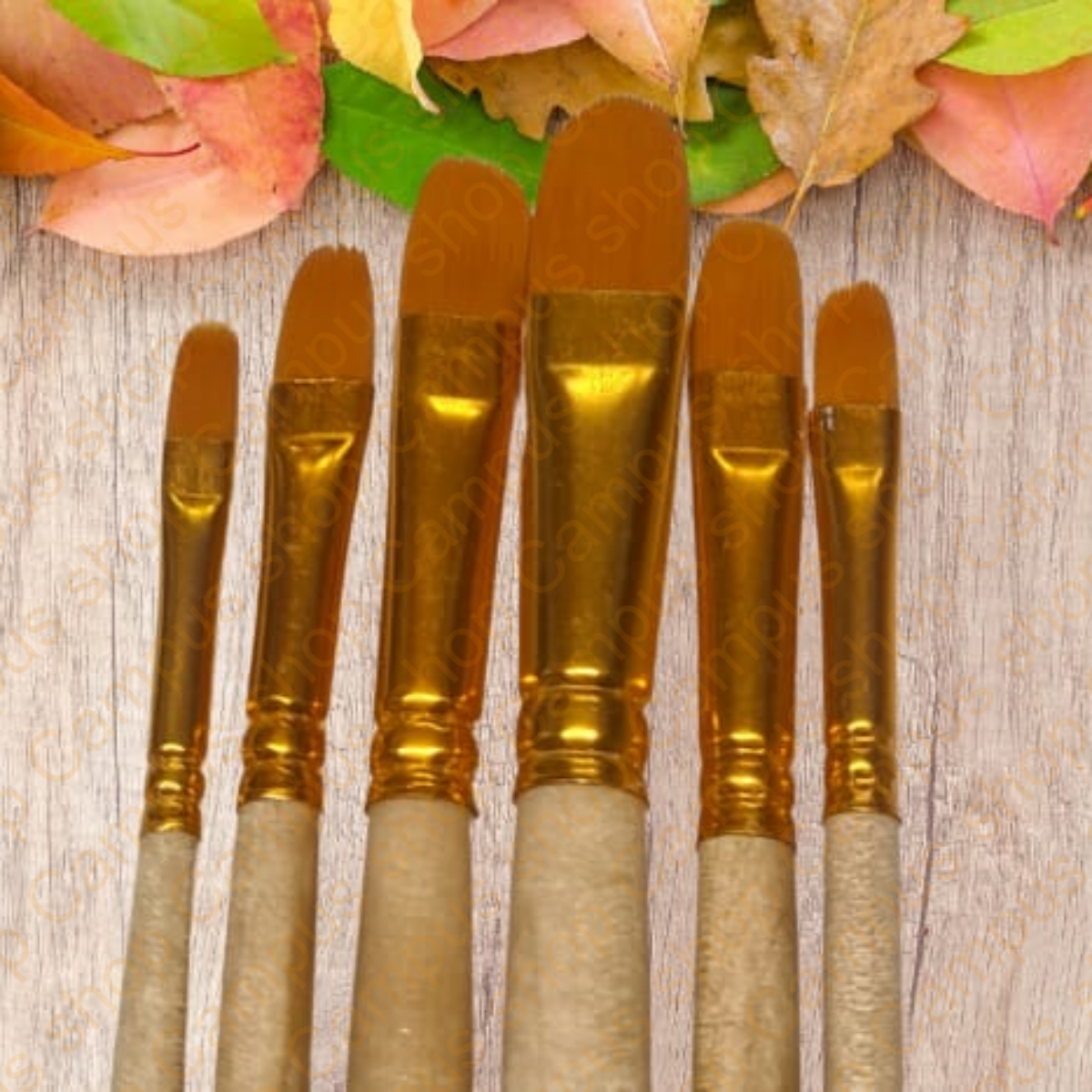 Picture of KEEP SMILING A609-6Z ARTIST FILBERT BRUSH