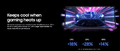 Picture of Samsung Galaxy Tab S10+ 12GB 256GB 