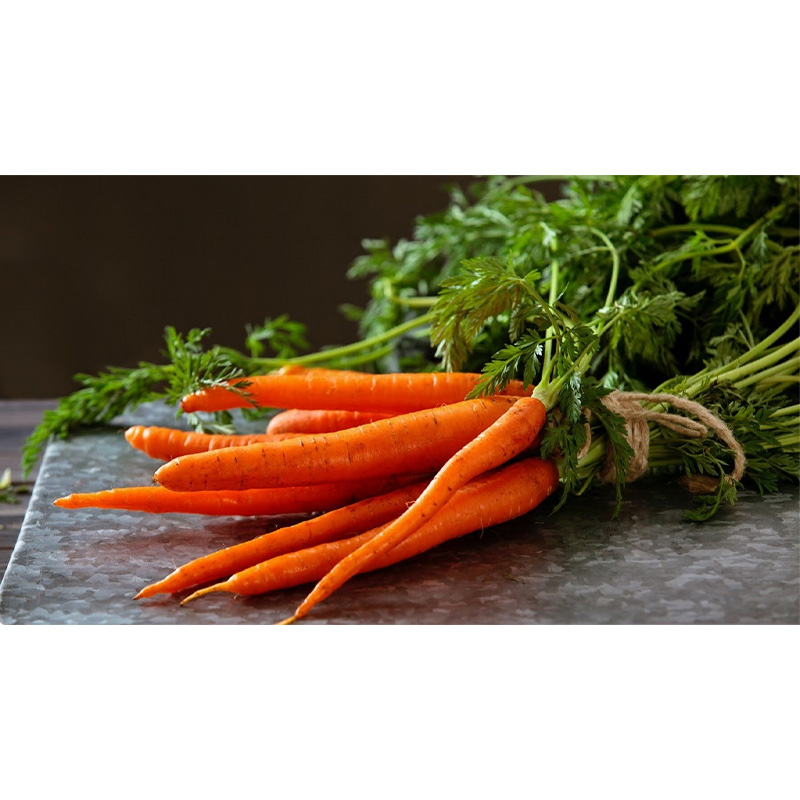 Picture of Carrot Seed 100 pcs / গাজর বীজ - ১০০ টি