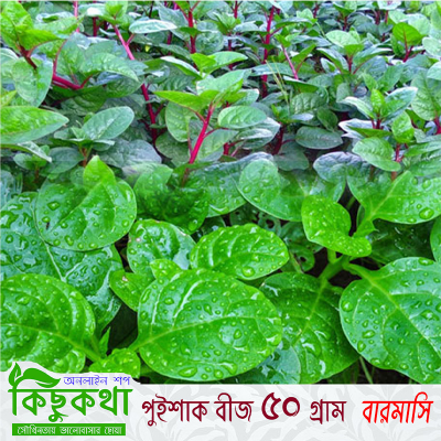 Picture of Pui Sak Seed - 50 Gram Seed All Season Hybrid