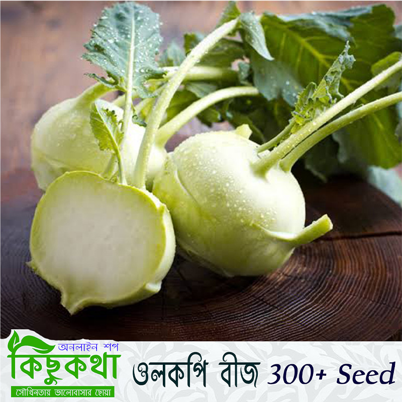 Picture of Olkopi / Kohlrabi Seed - 300+ Seed -  F1 Hybrid Seed