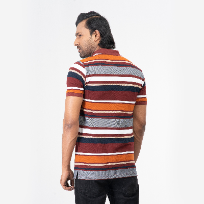 Picture of Stripe Polo Shirt