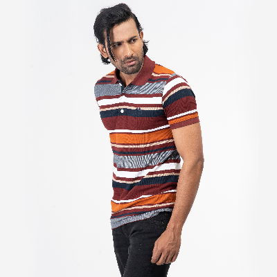 Picture of Stripe Polo Shirt