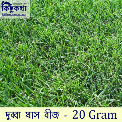 Picture of Dubba Grass Seed - 20 gm - দূর্বা ঘাসের বীজ ২০ গ্রাম বা প্রায় ৪০০০+ টি বীজ