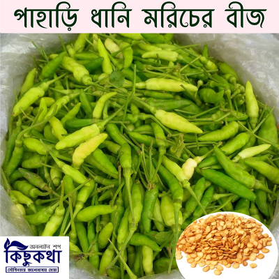 Picture of Pahari Chili Seed - 15  pcs Seed - পাহাড়ি ধানি মরিচের বীজ