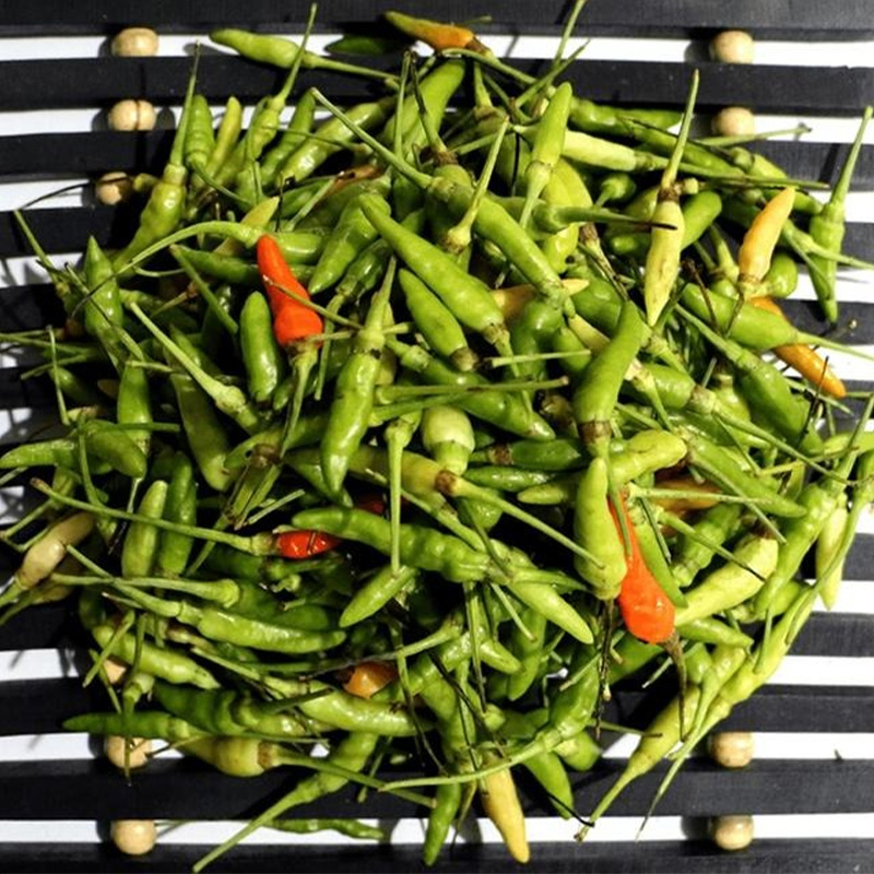 Picture of Pahari Chili Seed - 15  pcs Seed - পাহাড়ি ধানি মরিচের বীজ