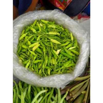 Picture of Pahari Chili Seed - 15  pcs Seed - পাহাড়ি ধানি মরিচের বীজ