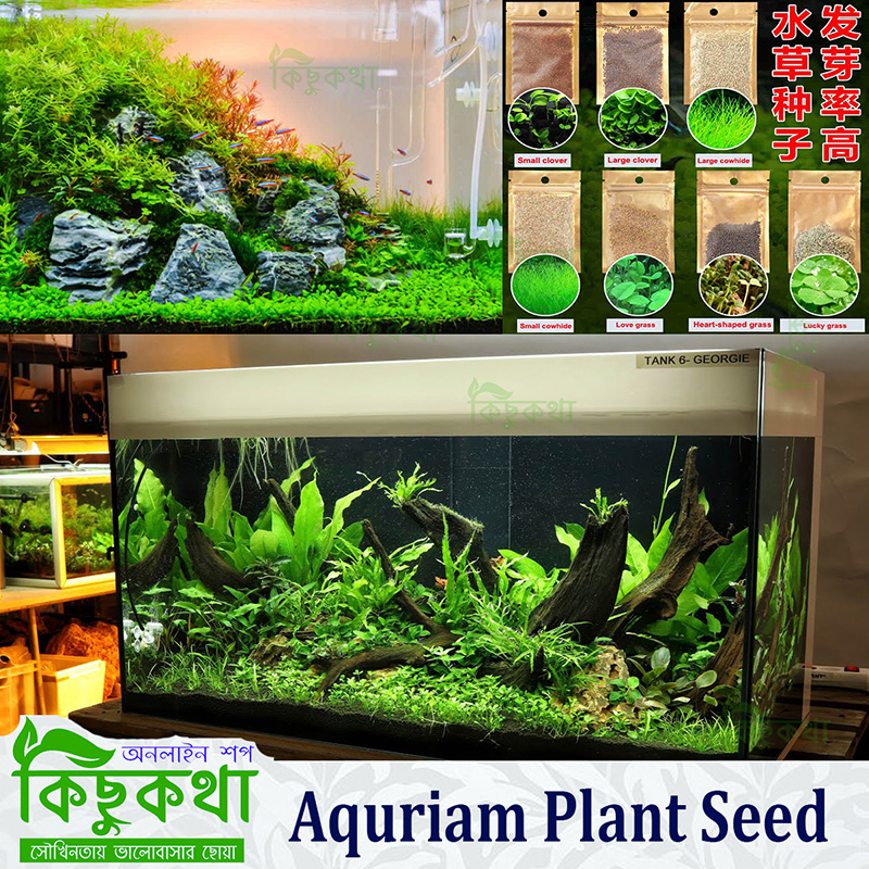 Picture of Aquarium Plant Grass Seed 100+ pcs Each Pack for Under Water Plant Select From 7 type plant