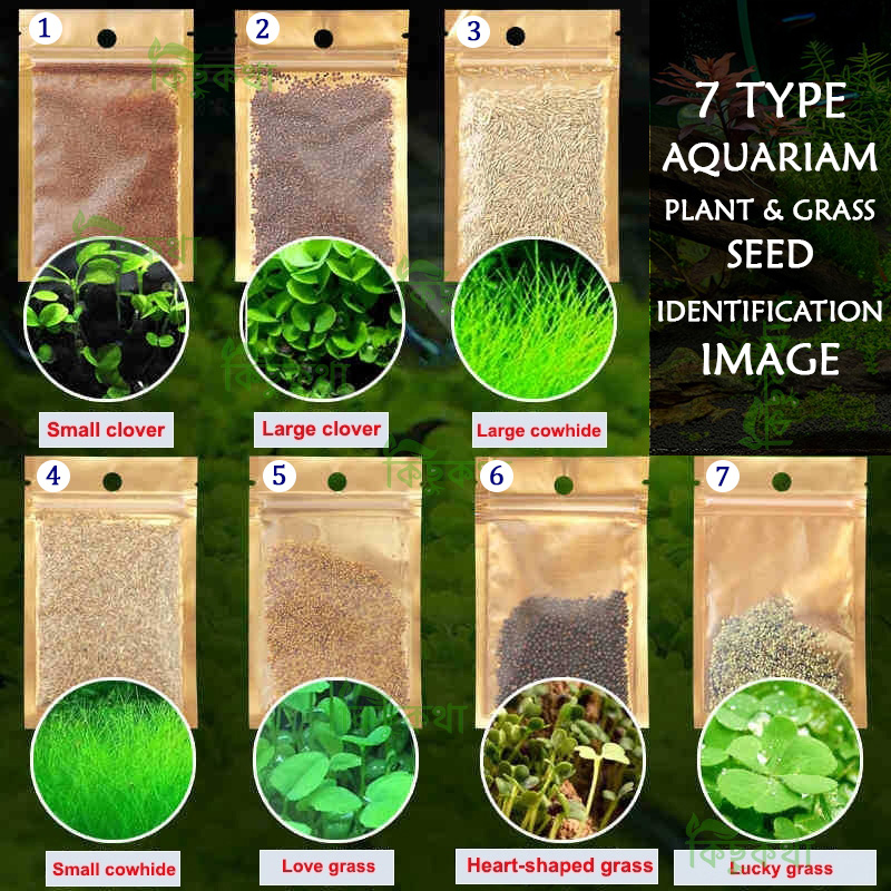 Picture of Aquarium Plant Grass Seed 100+ pcs Each Pack for Under Water Plant Select From 7 type plant
