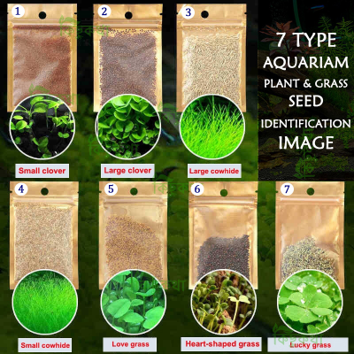 Picture of Aquarium Plant Grass Seed 100+ pcs Each Pack for Under Water Plant Select From 7 type plant