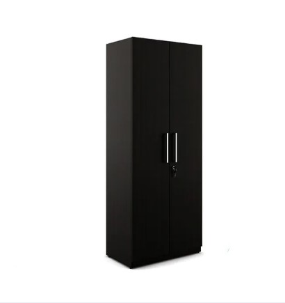 Picture of Modern 2 Doors Almirah with Inner Storage Shelves - Modern Home Furniture - Furniture & Decor - Modern and Trendy M1
