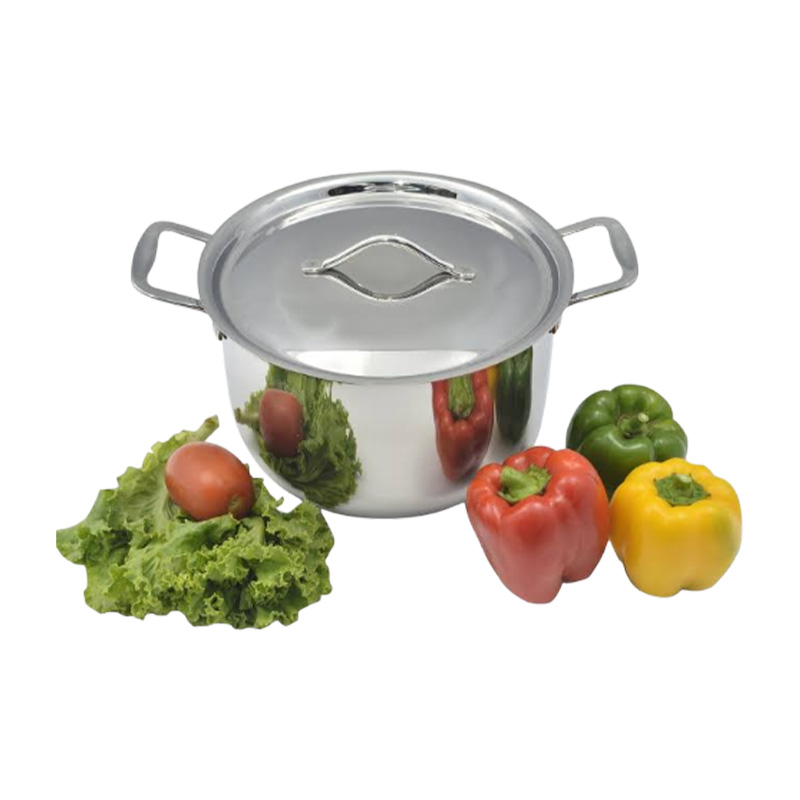 Picture of SKB INDUCTION SS LID & HANDLE SAUCE POT-22 cm