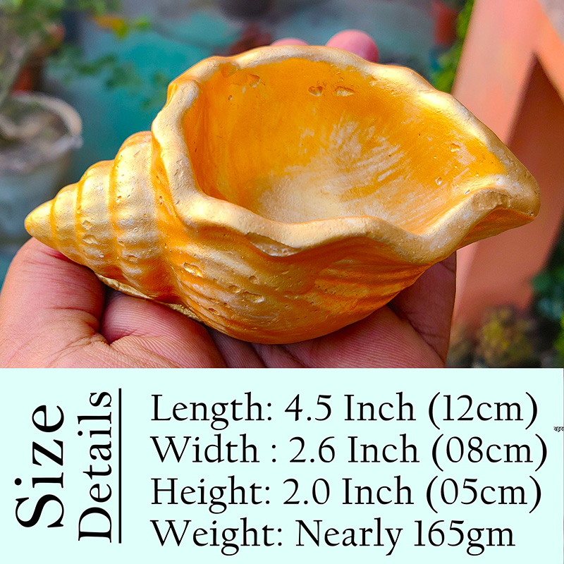 Picture of Snail Shape Golden Color Show-piece - (2) or Mini Flower Tub for Decoration - শামুক শেপের কনক্রিটের তৈরি সোনালি রঙ এর শো পিচ বা ছোট টব - ০১ পিচ