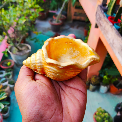 Picture of Snail Shape Golden Color Show-piece - (2) or Mini Flower Tub for Decoration - শামুক শেপের কনক্রিটের তৈরি সোনালি রঙ এর শো পিচ বা ছোট টব - ০১ পিচ