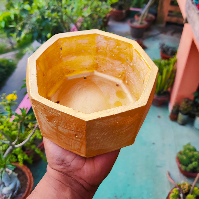 Picture of Bowl/Tub Shape Golden Flower Tub Concrete Made - 01 pcs - বাটি শেপের সোনালি রঙ মিনি ফুলের টব বা শো-পিচ সিমেন্টের তৈরি