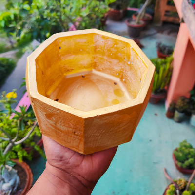 Picture of Bowl/Tub Shape Golden Flower Tub Concrete Made - 01 pcs - বাটি শেপের সোনালি রঙ মিনি ফুলের টব বা শো-পিচ সিমেন্টের তৈরি