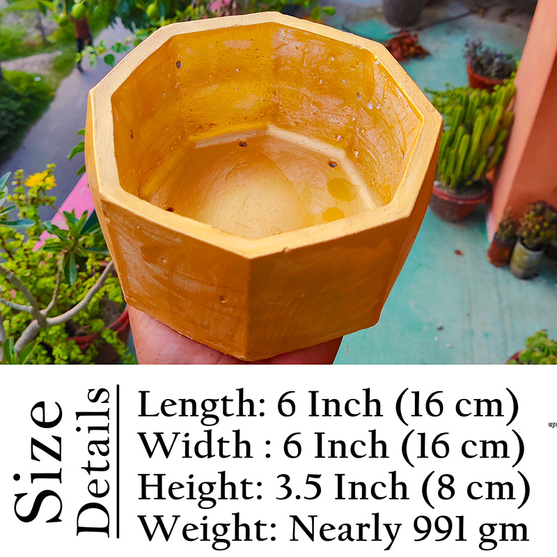 Picture of Bowl/Tub Shape Golden Flower Tub Concrete Made - 01 pcs - বাটি শেপের সোনালি রঙ মিনি ফুলের টব বা শো-পিচ সিমেন্টের তৈরি