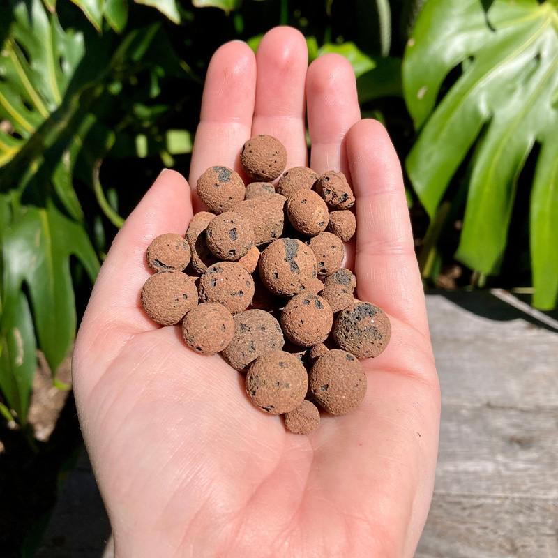 Picture of Clay Ball For Plant - 0.5 kg pack - ক্লে বল গাছের মিডিয়া বা গাছের সৌন্দর্য বৃদ্ধির জন্য ব্যবহৃত