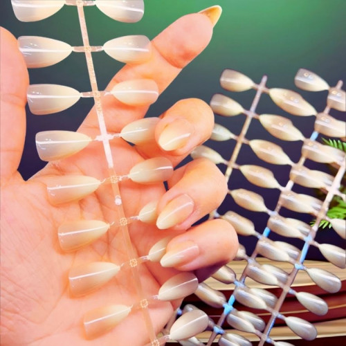 Picture of artificial press-on nail tips 5set 5 colour