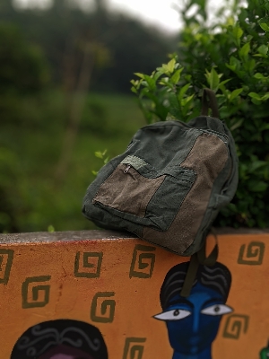 Picture of Casual Contrast Color Canvas Backpack - Olive Green