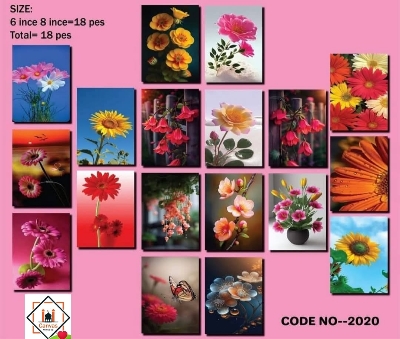 Picture of Premium PVC & HD Sticker Wallmate Set – 18pcs Combo