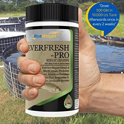 Picture of Biofloc Everfresh Pro Aqua Probiotics, Multi Strain Probiotic 15b CFU/gm. for Shrimp, Fish Culture & Biofloc 500g