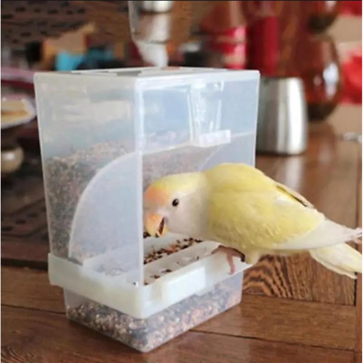 Picture of 5pcs Premium China Model Bird Automatic Feeding Pot Bird Hopper ( খাবার অপচয় হয় না)