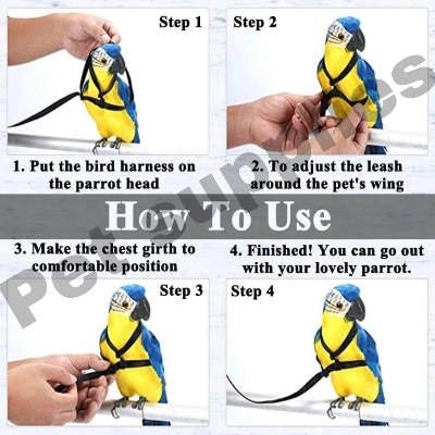 Picture of Parrot Bird Harness Leash Outdoor Flying Traction Straps Band Adjustable Anti-Bite Training Rope