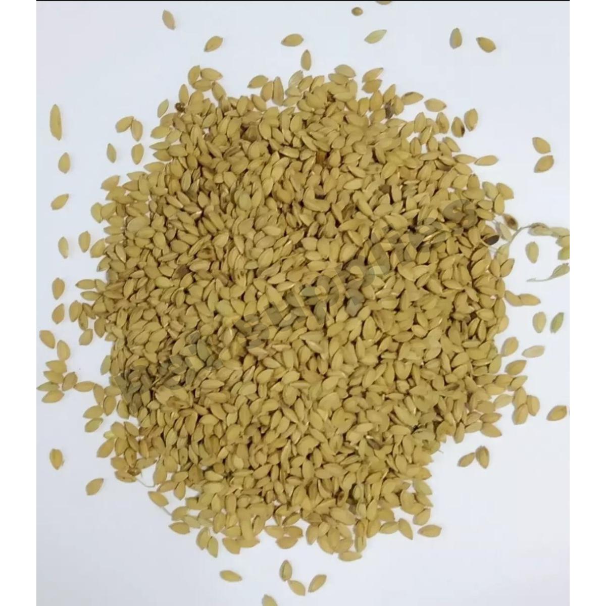Picture of Bird Food Paddy Rice (চিনি আতপ ধান) for Birds or Reptile  -- 250g