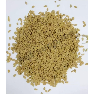 Picture of Bird Food Paddy Rice (চিনি আতপ ধান) for Birds or Reptile  -- 250g