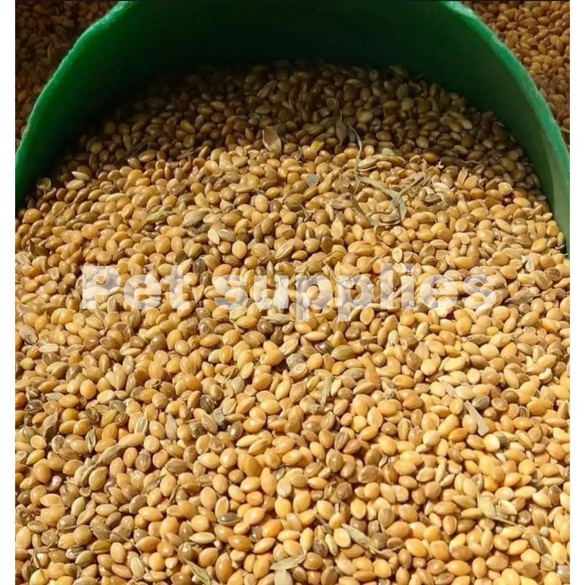 Picture of Cina Seed for Birds চিনা Bird Food 500g