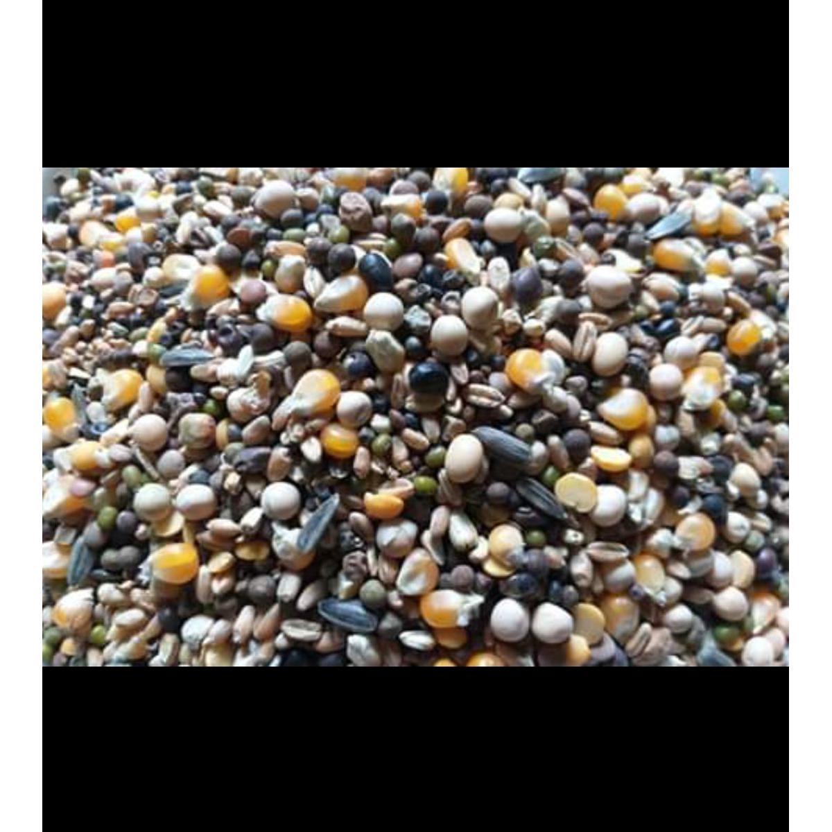 Picture of Race Feed Recipe For Racing Pigeons With Soya Been Seeds and Many More 5kg