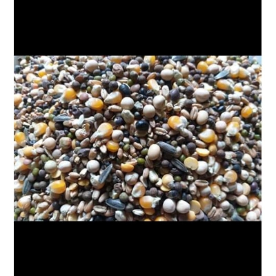 Picture of Race Feed Recipe For Racing Pigeons With Soya Been Seeds and Many More 500gm