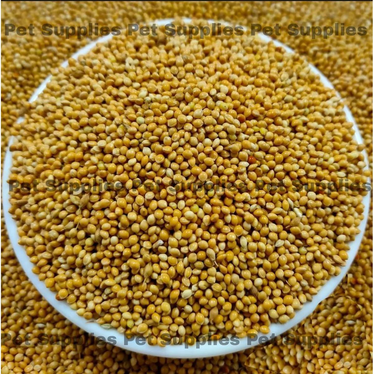 Picture of Yellow Millet For Birds -1kg