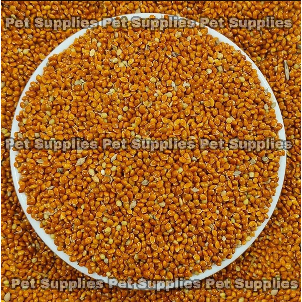Picture of Red Millet For Birds -500g