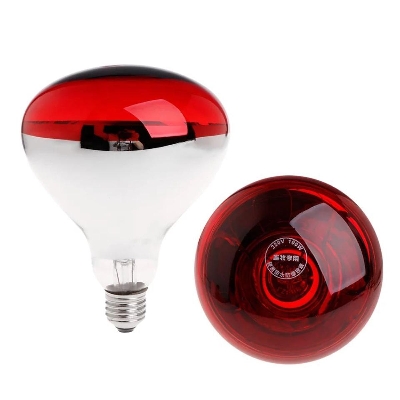 Picture of Infrared Heat Lamp Poultry Brooder Chicks Or Birds farming Waterproof Hatching Puppies  Piglet Bulb for Chicken