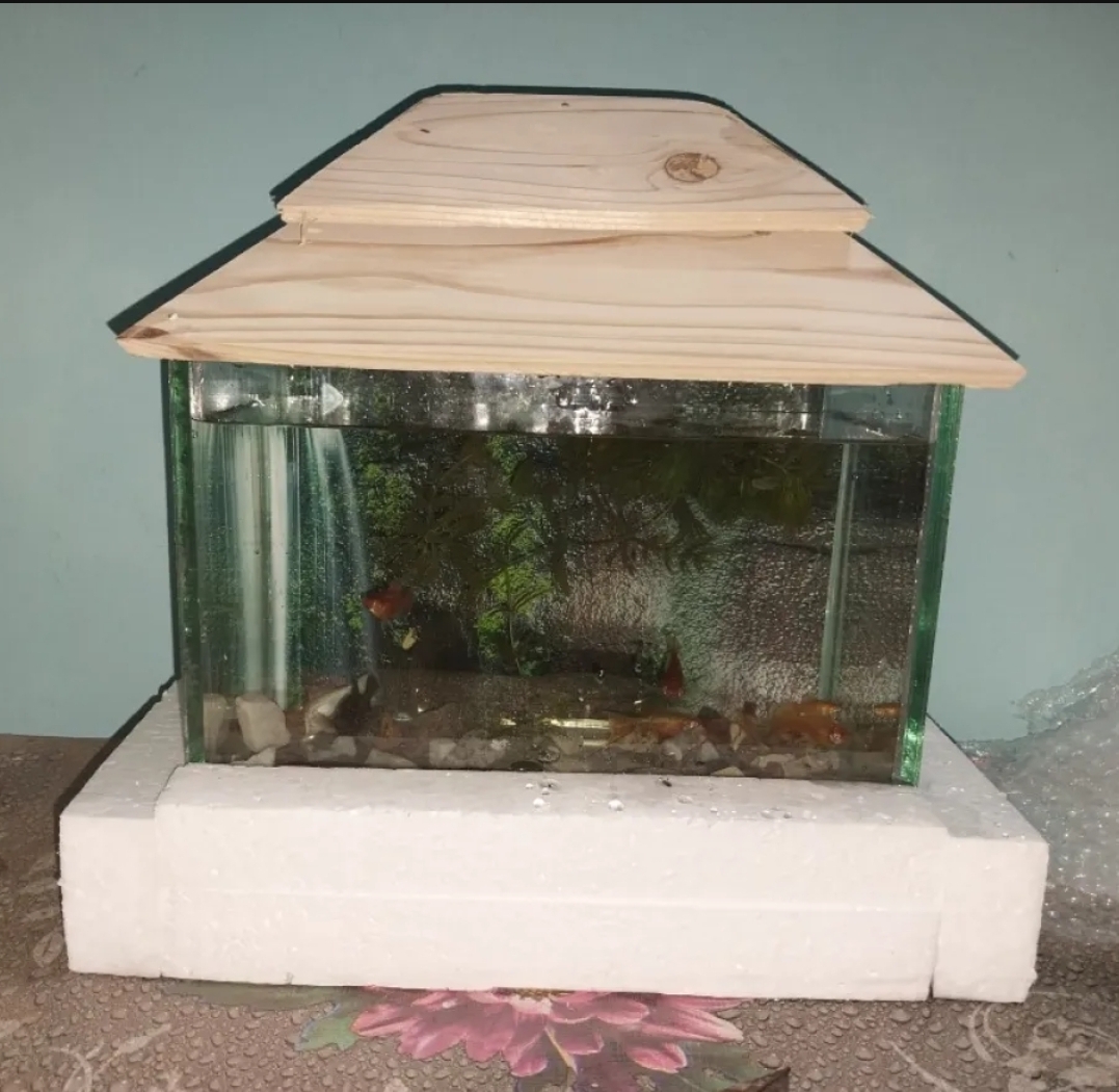 Picture of Glass Made Deshi Aquarium For Fish With All Accessories You Don't Have To Buy Anything (Small Size 9x6x6 Inches)