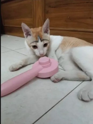 Picture of Cat Brush Pet Comb Self Cleaning Slicker Brush Remove Hair Grooming