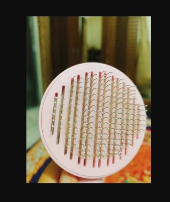 Picture of Cat Brush Pet Comb Self Cleaning Slicker Brush Remove Hair Grooming