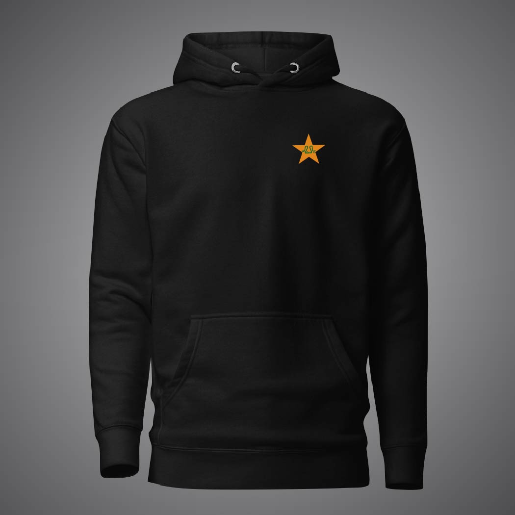 Picture of Pakistan Cricket Hudi For Man - Premium Hoodies For Man - Pakistan Cricket Hudi