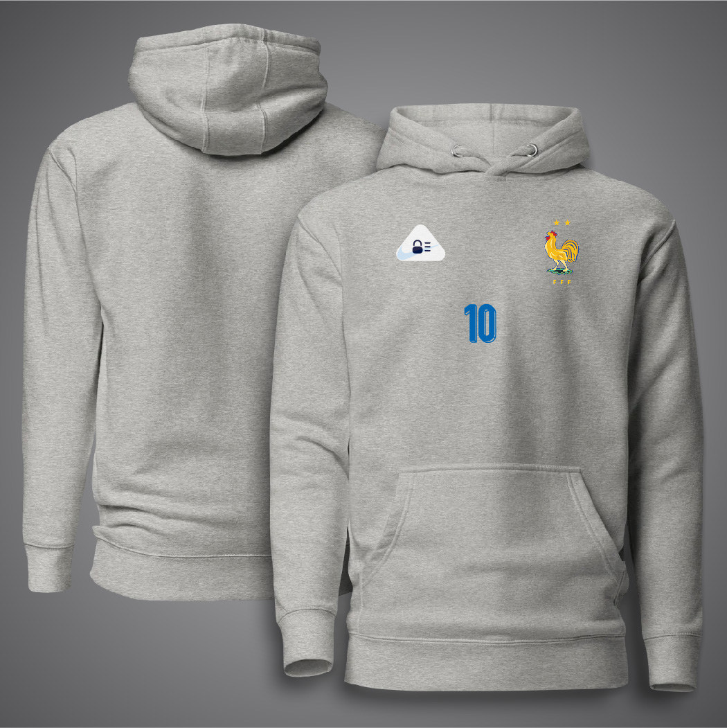 Picture of France 10 Hudi For Man - France Premium Hoodies For Man - France Hoodie