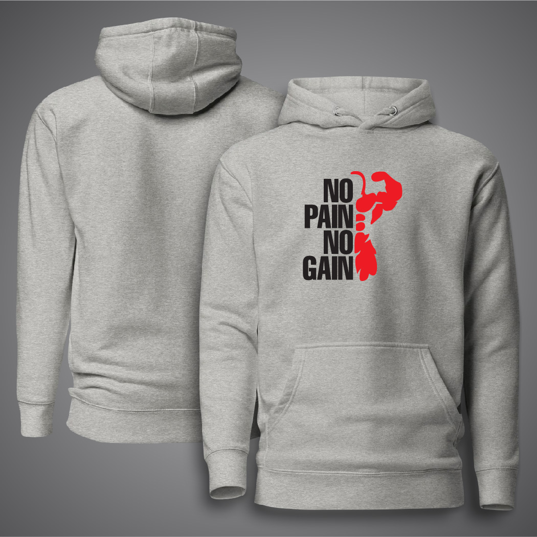 Picture of No Pain No Gain Hudi For Men - Premium Hoodies For Men - No Pain No Gain Hudi