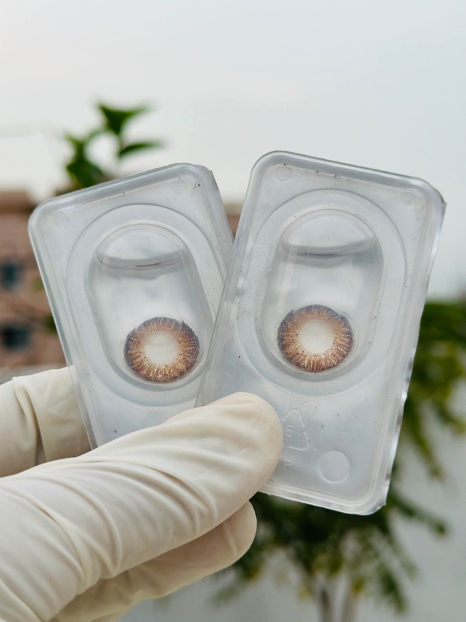 Picture of Freshlook contact lens colour brown
