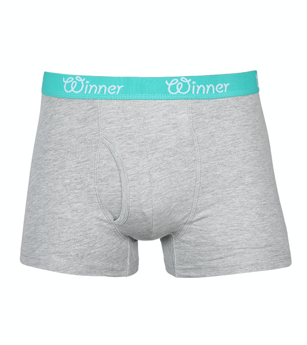 Picture of Winner Style Men's Deluxe Boxer Grey Melange