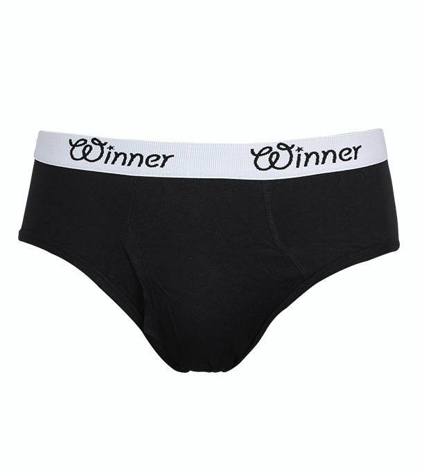 Picture of Winner Style Men's Deluxe Brief