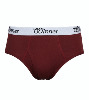Picture of Winner Style Men's Deluxe Brief Maroon Color 3 Pcs