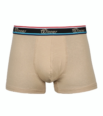 Picture of Winner Style Luxury Boxer Golden